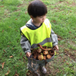 Forest School
